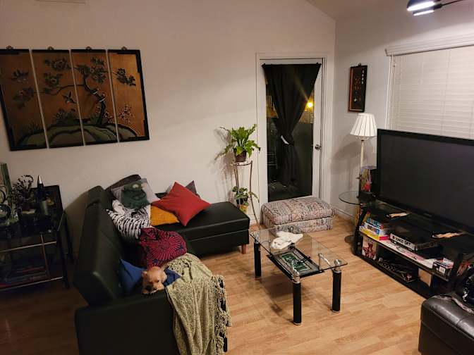 Stephanie's room