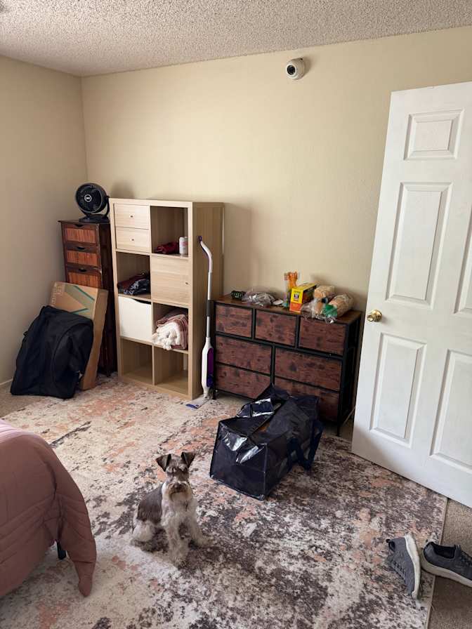 Mike's room