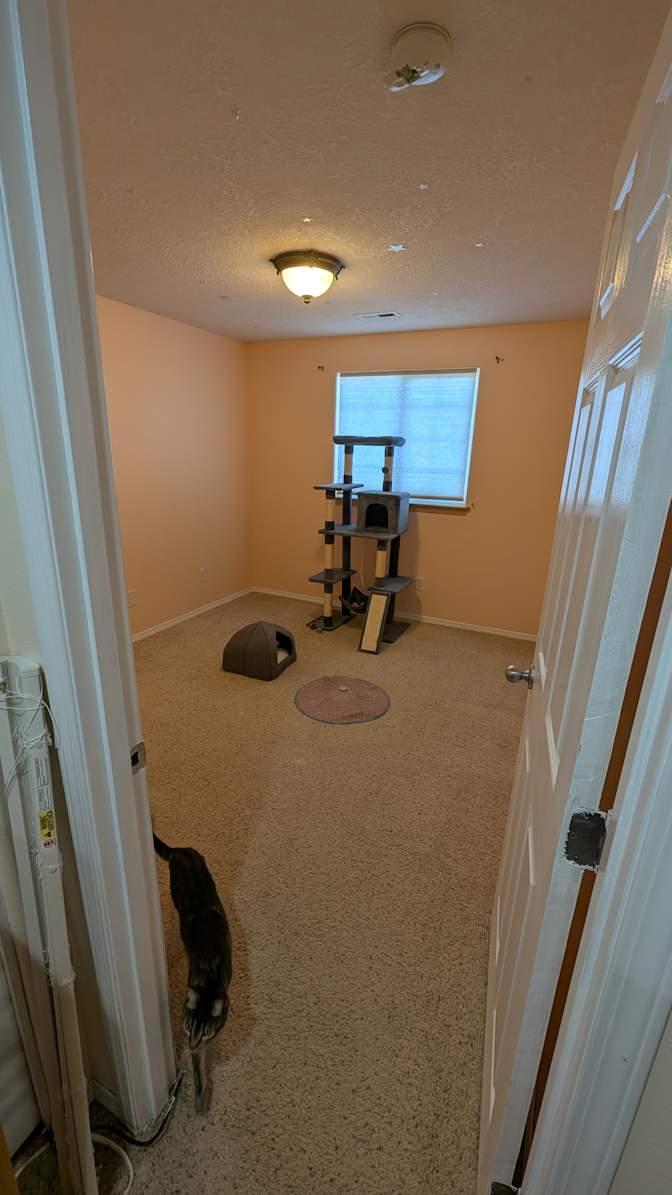 Seth's room