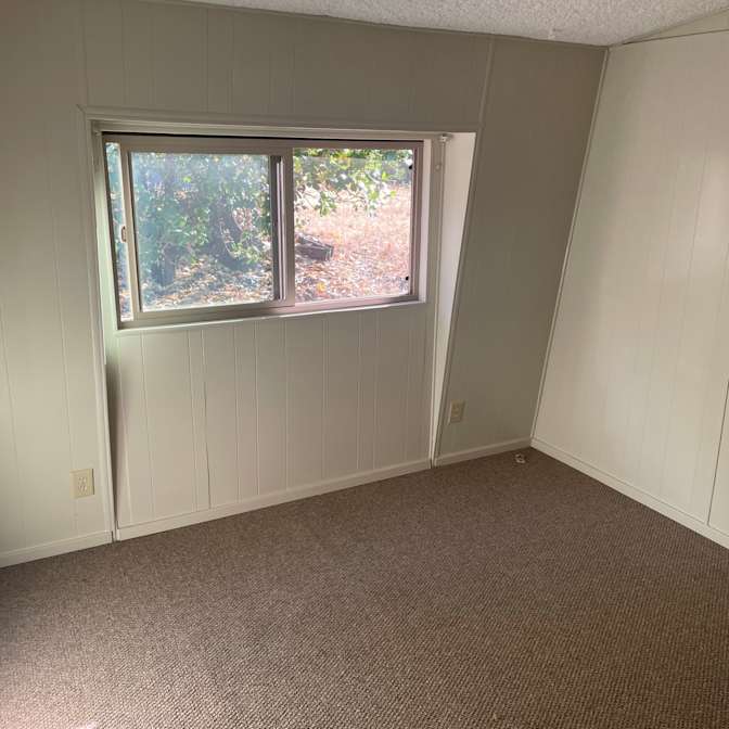 Solomon's room