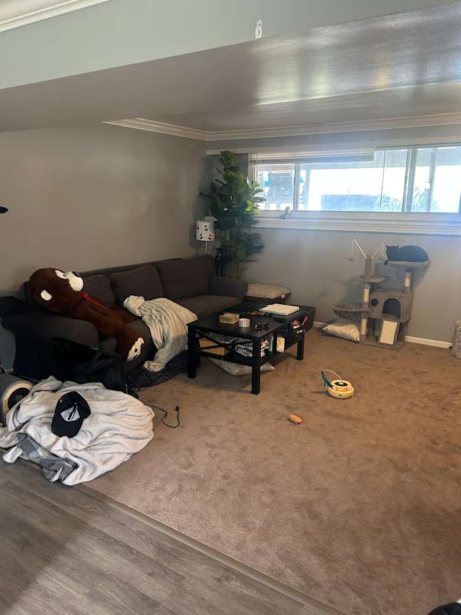 Abby Toplis's room