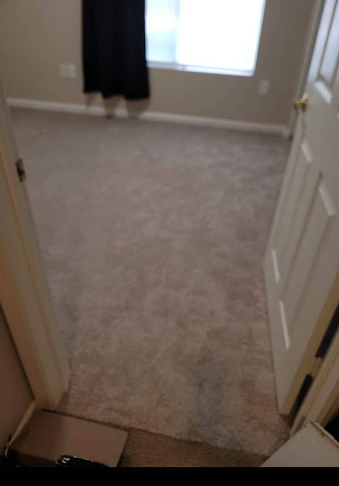 Tyler's room