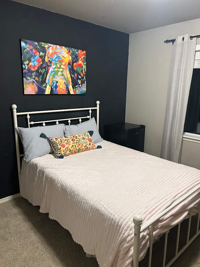Mary's room