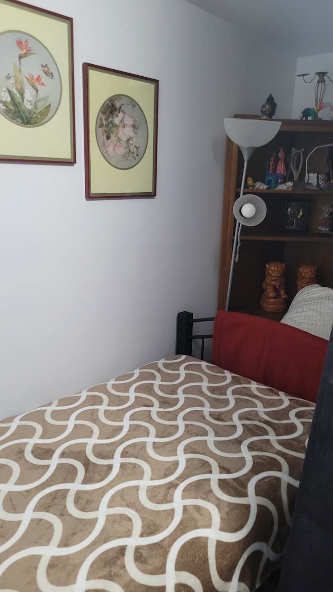 Ann's room