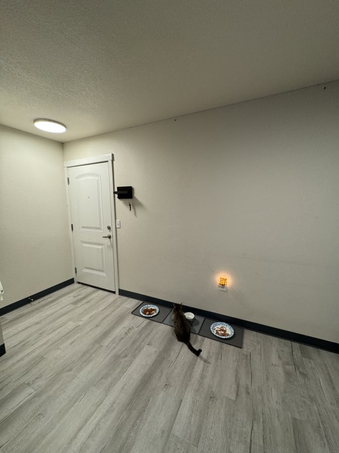 Omar's room