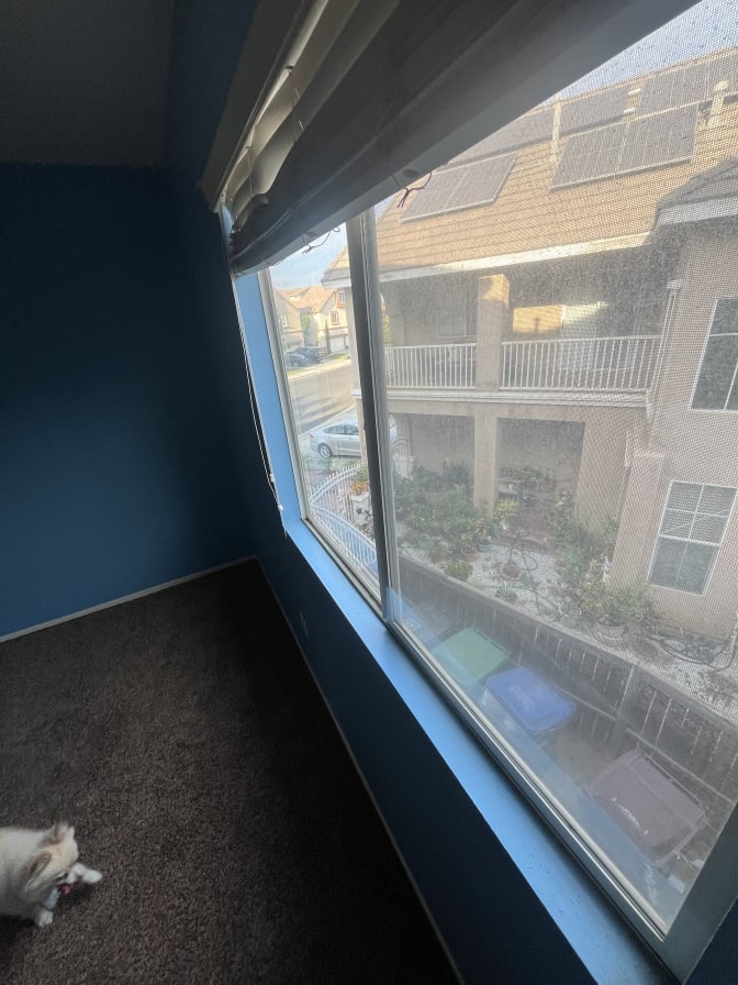 Jonathan's room