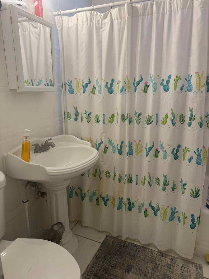 Nilufer Ucler's room