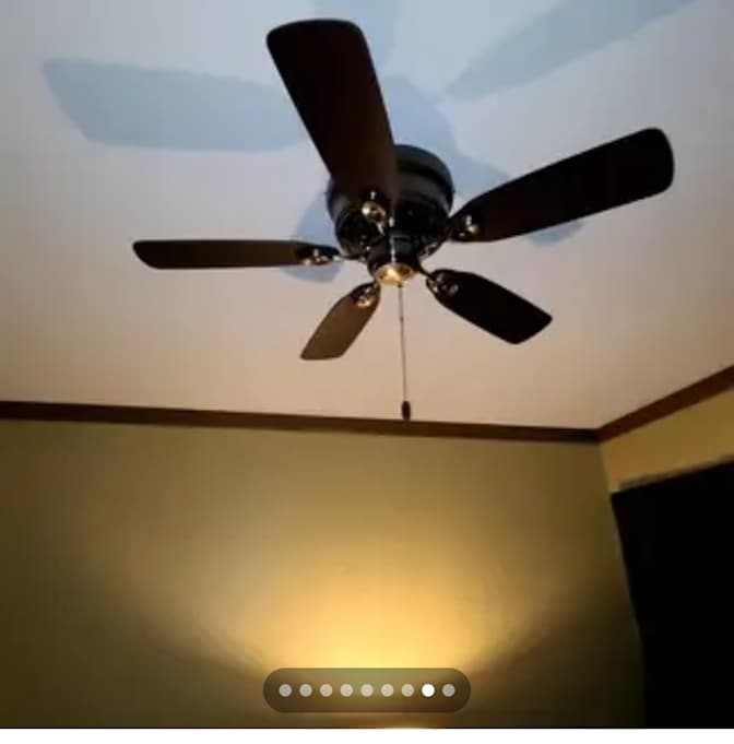 Bear's room
