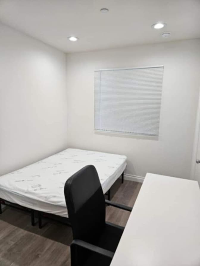 Ned's room