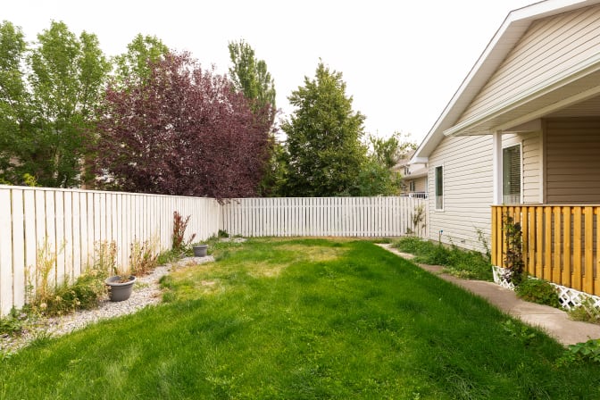 STUDENTS, INTERNS & YOUNG PROFESSIONALS's room