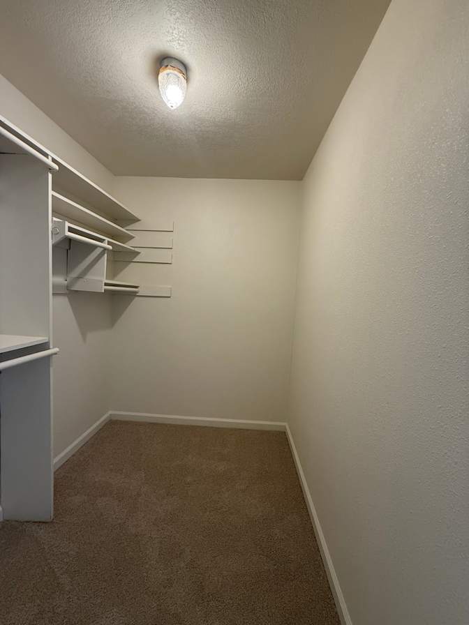 Mariel V's room