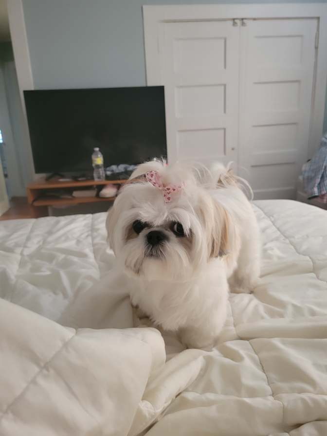 Cindy's room