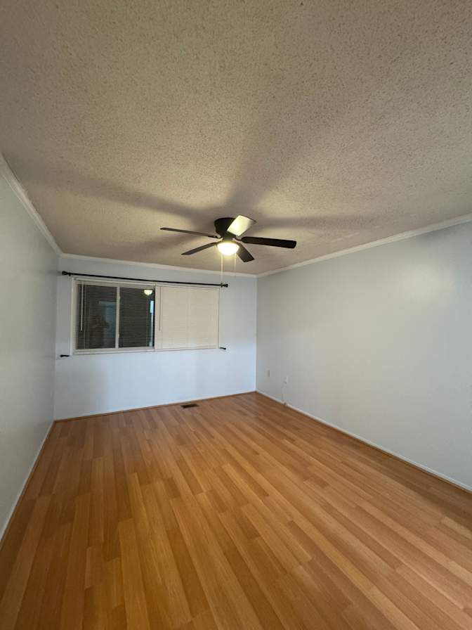 Colin's room
