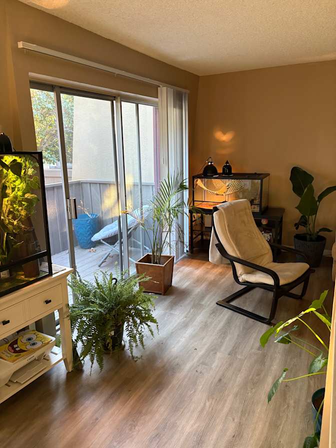 Jasmin's room
