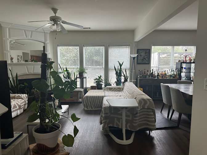 MQ's room