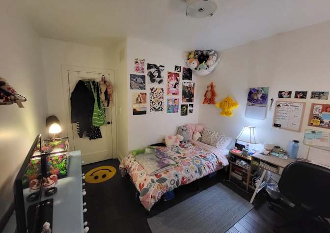 Ash Zubair's room