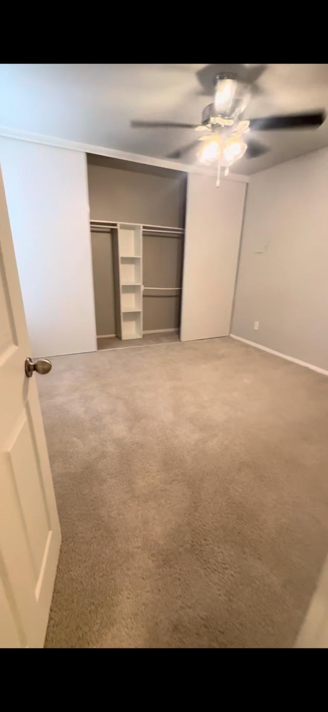 Rae's room