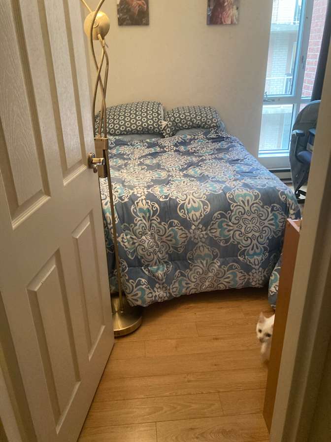Sean's room