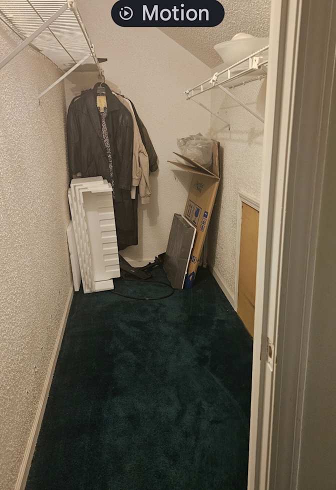 Suzanne's room