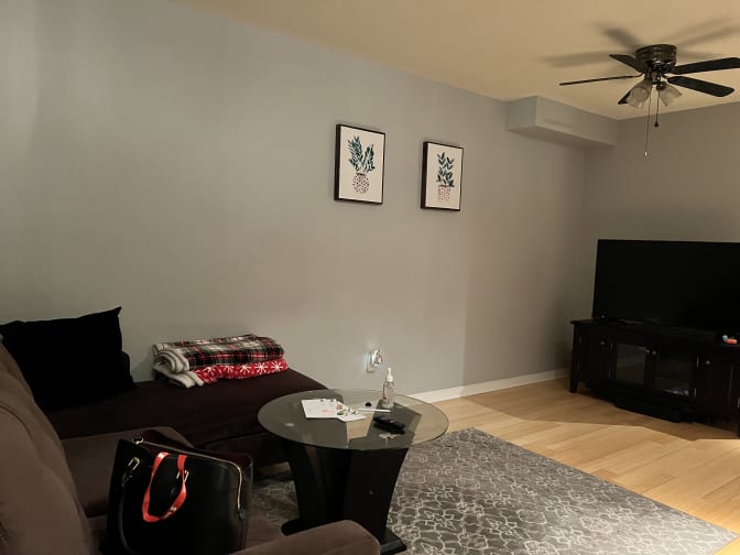 Prisyb's room
