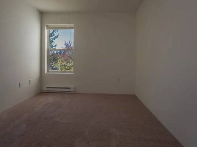 Orlando's room