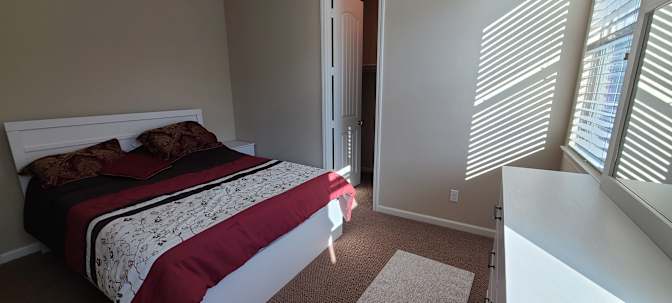 Mike and ZMG's room