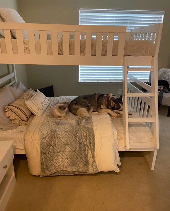 Julie's room