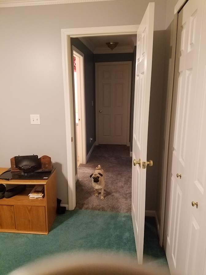 Debra L Kudrycki's room