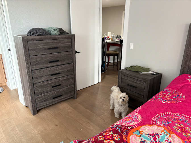 Debra's room