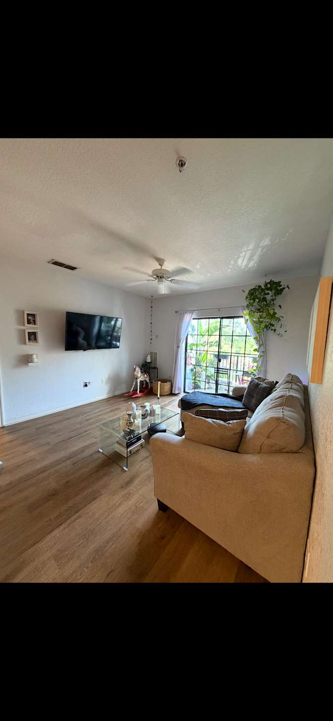 shay's room