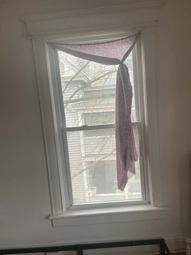 Lily's room