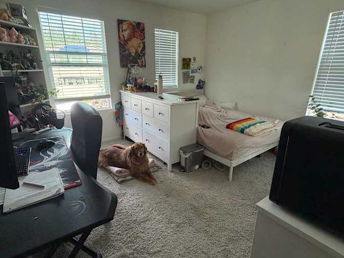 Rachel's room