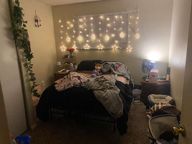 Sage's room