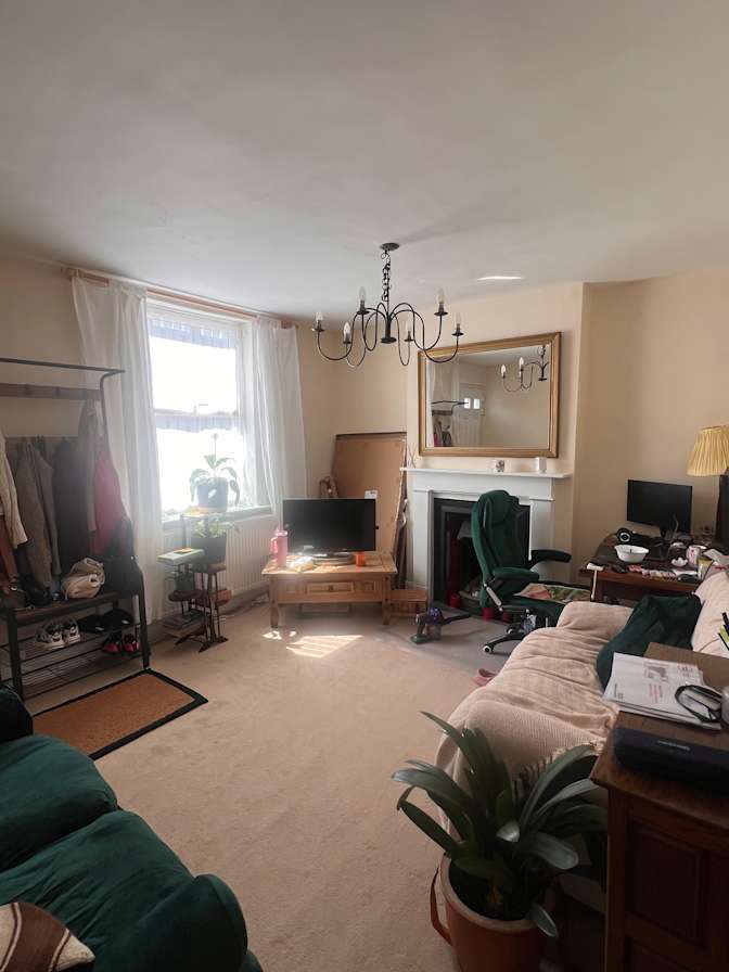 Shannon Wheeler's room