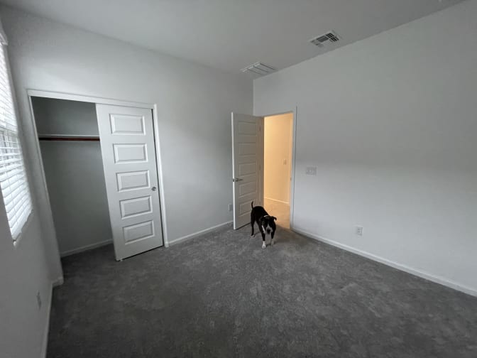 Joseph Shapiro's room