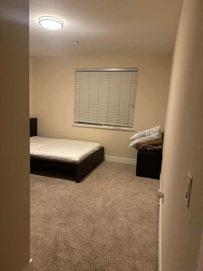 David's room