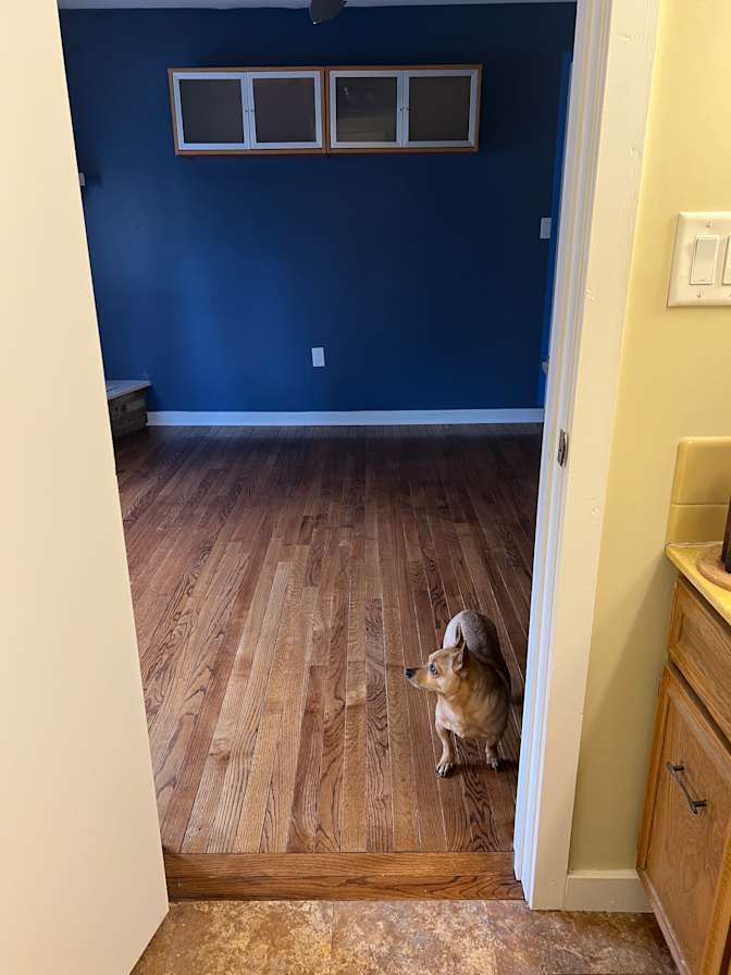 Gemma's room