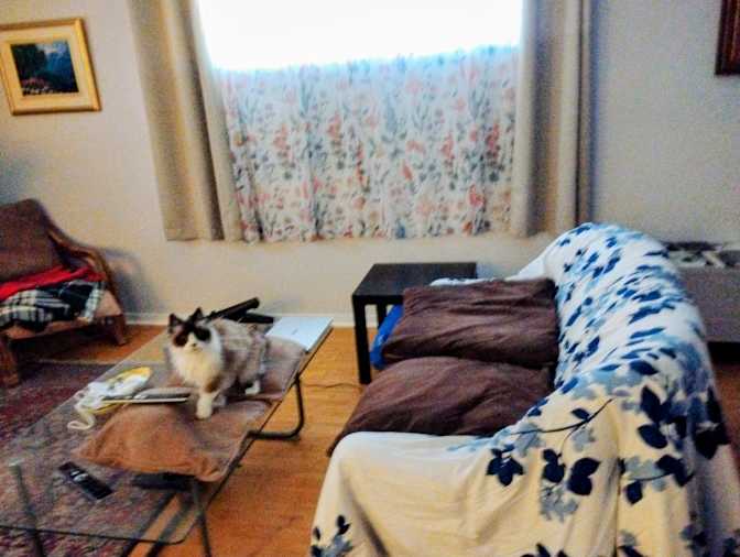 helene bolduc's room