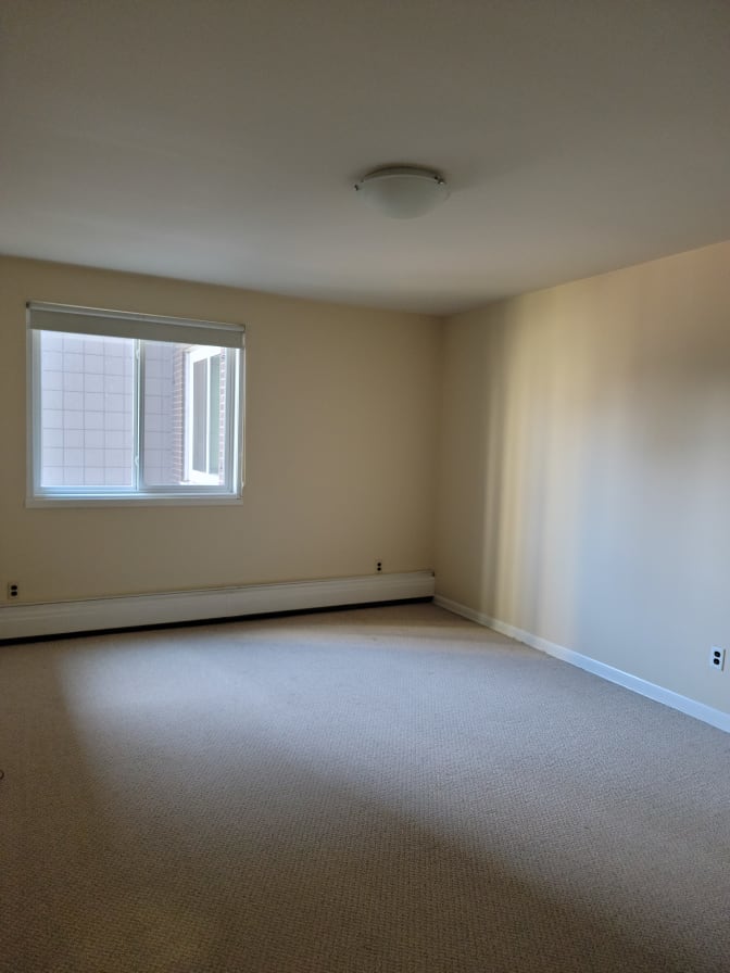 Shane's room