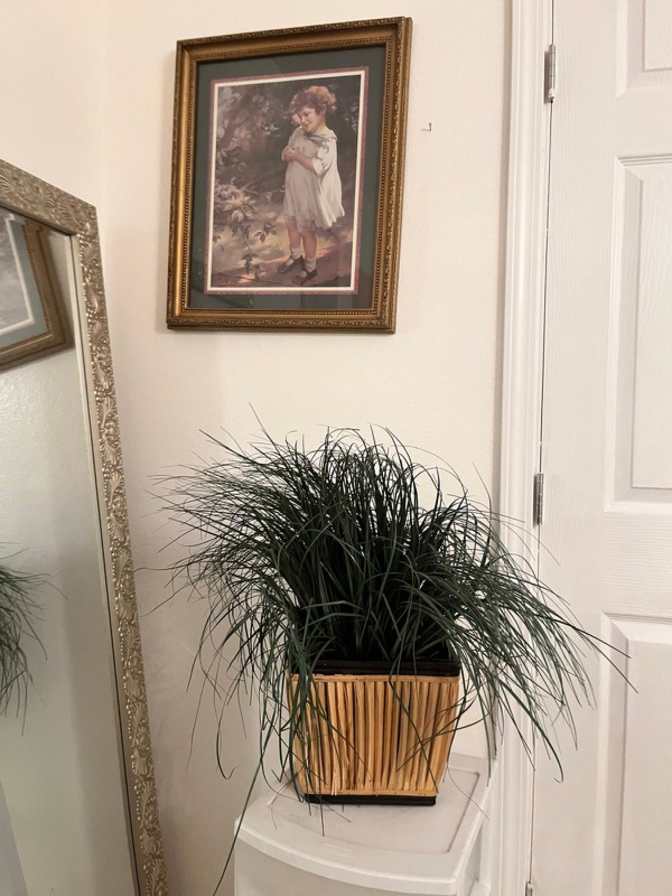 Ali H's room