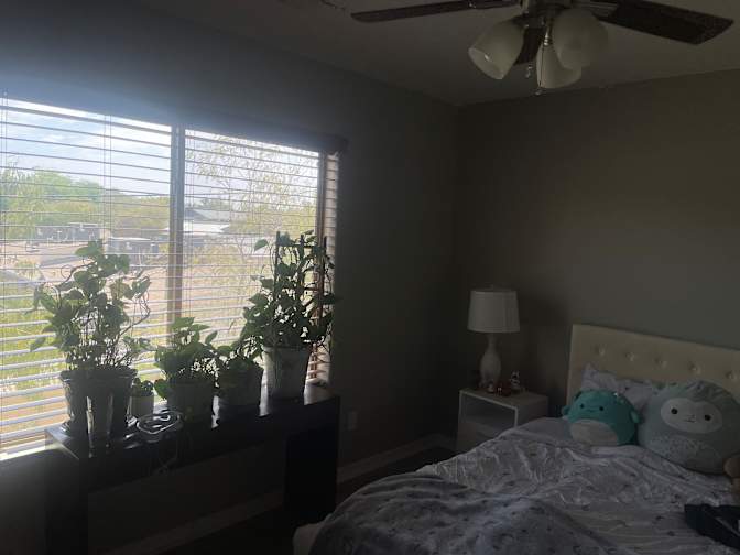 Elizabeth's room