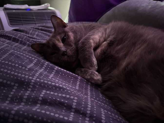 Samantha Keeping's room