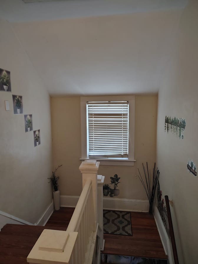 Melissa L Cox's room