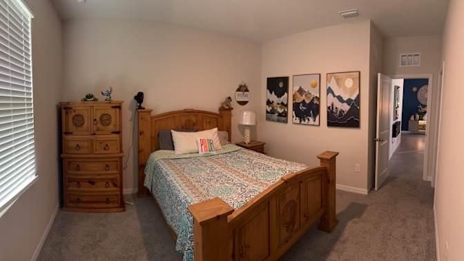 Mario's room