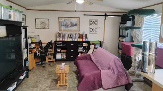 Lisa Shaw's room