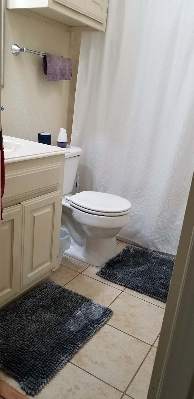 Vajihe's room