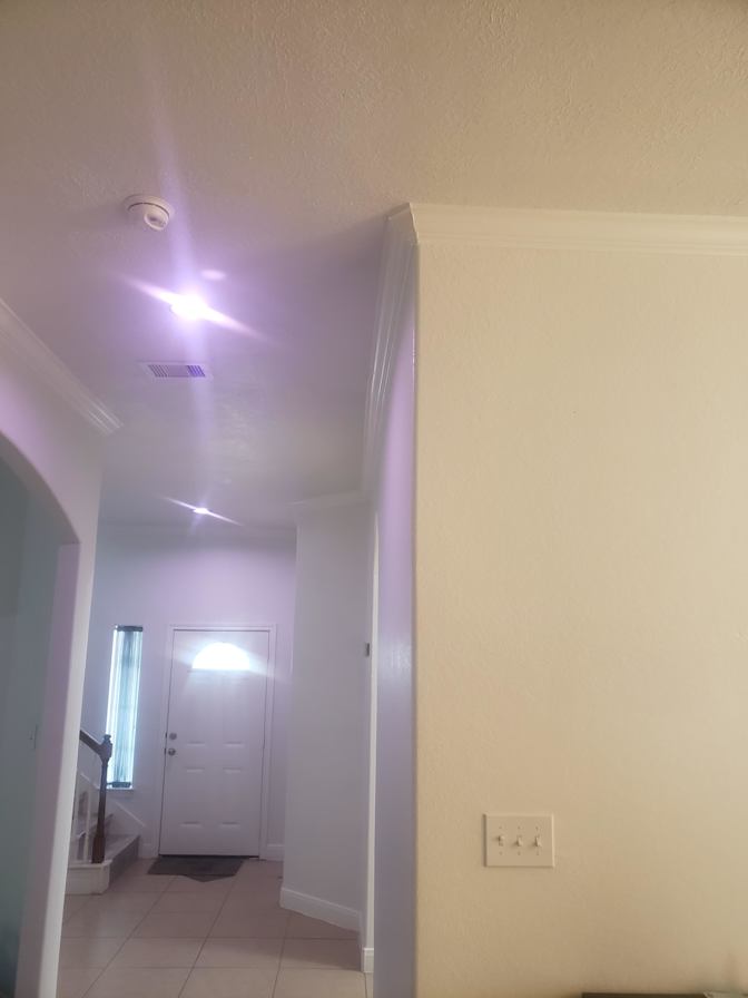 Drew's room