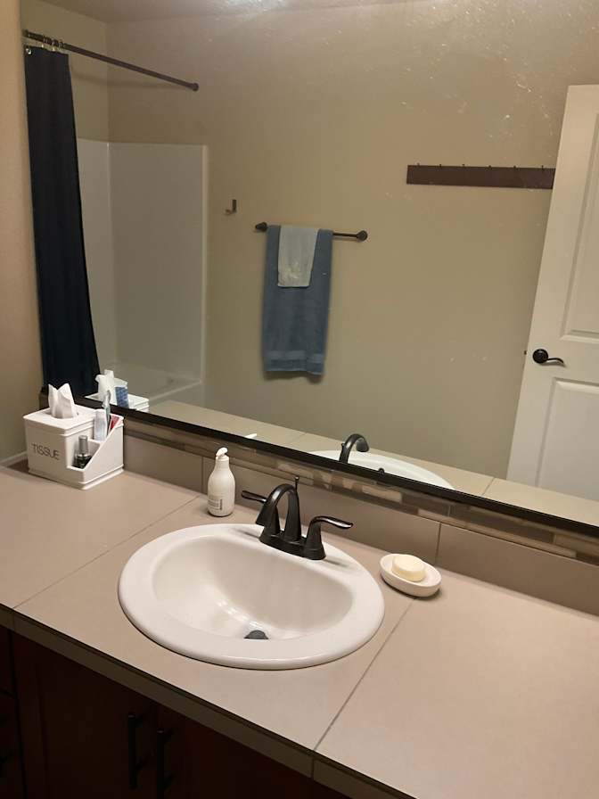 Professional.. Looking for roommate..'s room