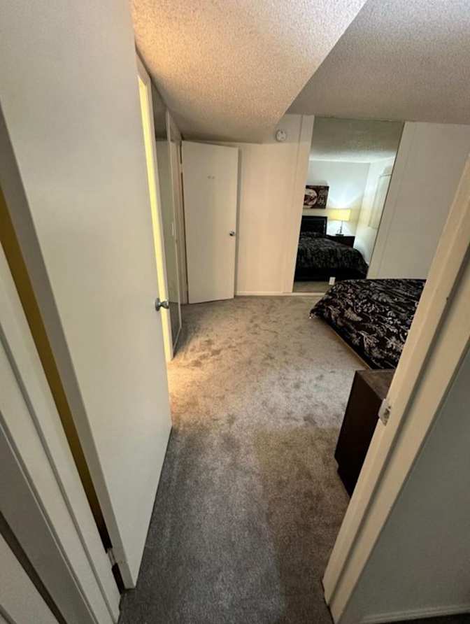 Peter's room
