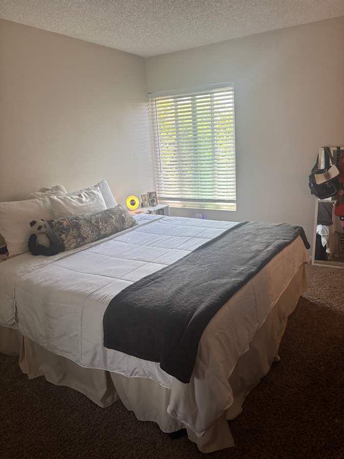 Daniela's room